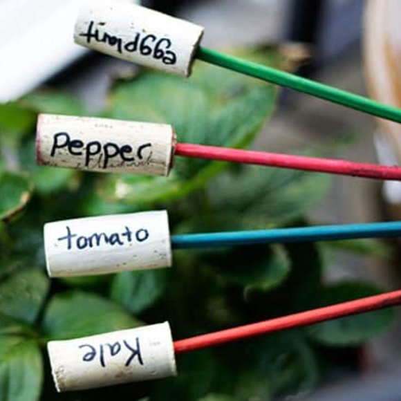 200 Natural Variety Wine Corks. - Picture 2 of 9